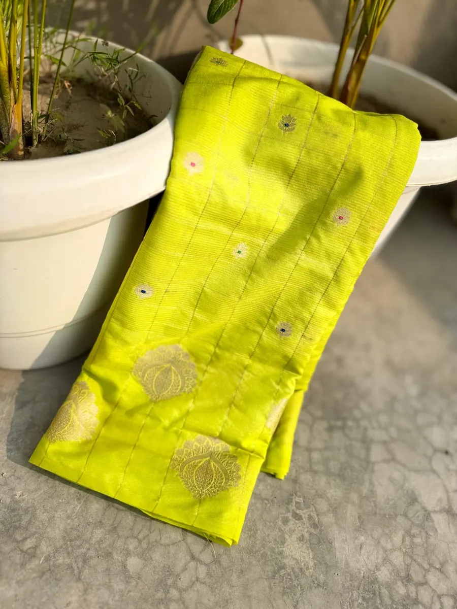 BANARASI WARM SILK DYED SAREES